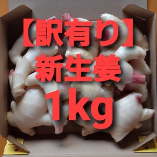 農家直送【訳有り】新生姜　1kg(野菜)