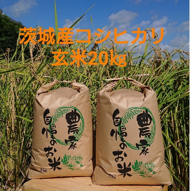 茨城令和4年産新米コシヒカリ玄米20㎏　米/穀物
