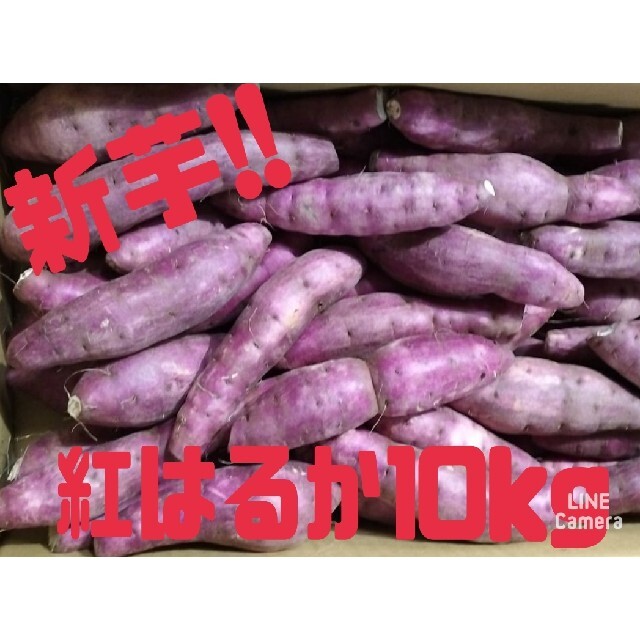 熊本県産紅はるか10kg　野菜