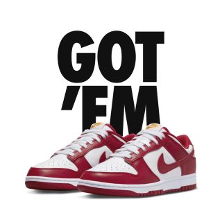 ナイキ(NIKE)のdunk low gym red 28cm(スニーカー)