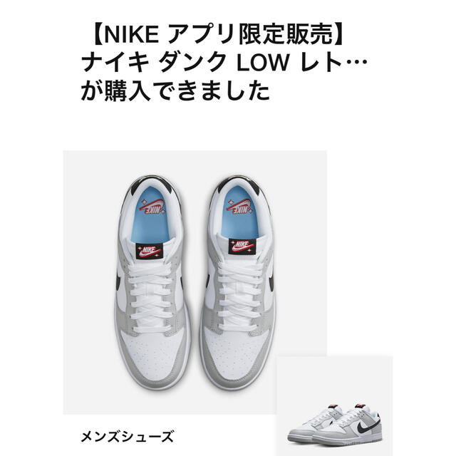 Nike Dunk Low SE Lottery "Grey Fog / Lig290cm