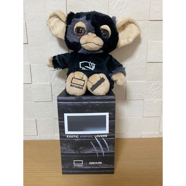 GREMLiNS × BOTANIZE ギズモ3体SET | nirvanaconnects.co.ke