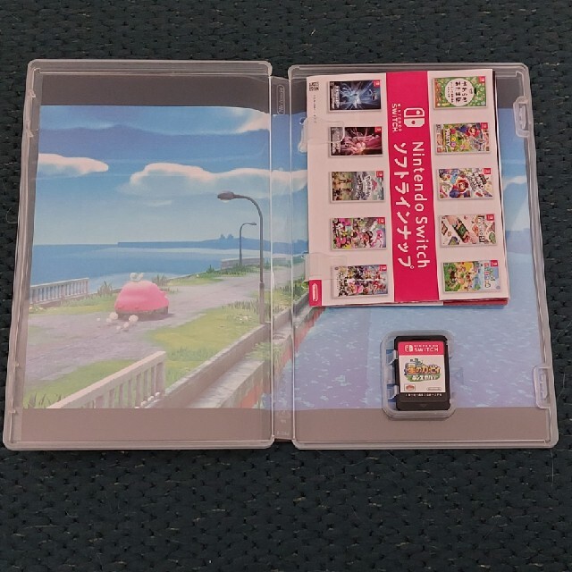 星のカービィ　ディスカバリー Switch エンタメ/ホビーのゲームソフト/ゲーム機本体(家庭用ゲームソフト)の商品写真