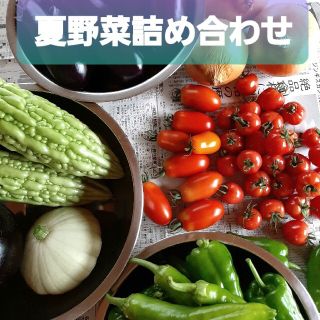 ☆夏野菜詰め合わせ☆ 朝採り お野菜セット ゆうパック 70サイズ(野菜)