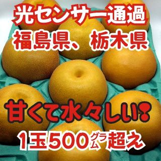 栃木県、福島県産★大玉サイズ９玉５kg(フルーツ)