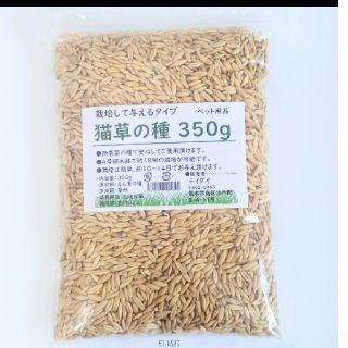 【残り5セット！】猫草の種 350g ねこ草の種 農薬未使用 食べられる草(猫)