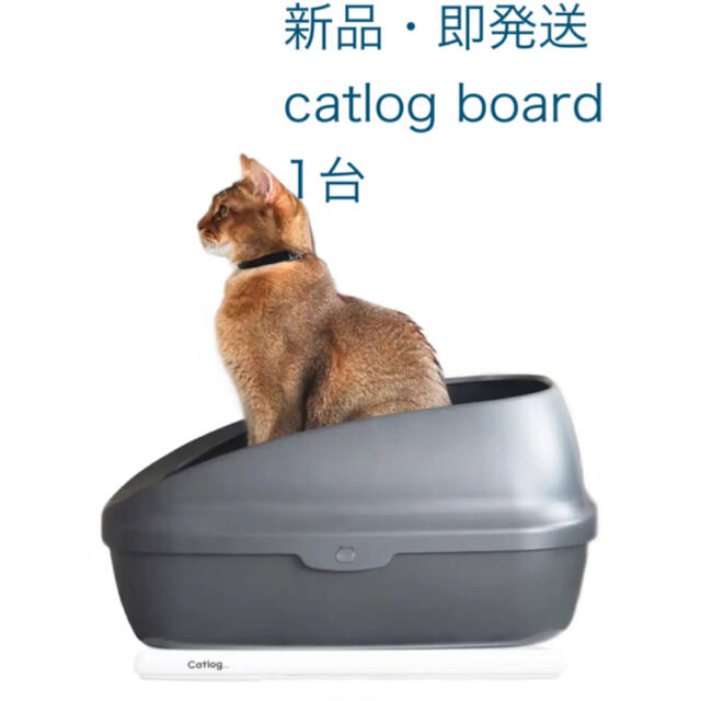 【新品】catlog board キャトログボード