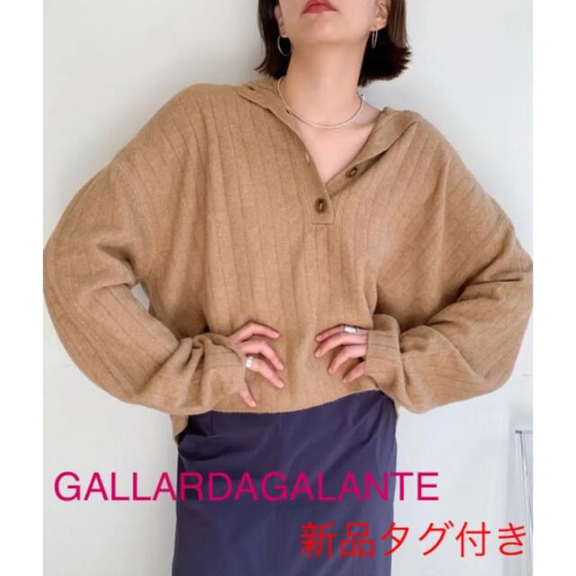 GALLARDAGALANTE ヘンリーネックショートリブニット