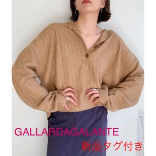 ガリャルダガランテ(GALLARDA GALANTE)のGALLARDAGALANTE ヘンリーネックショートリブニット(ニット/セーター)