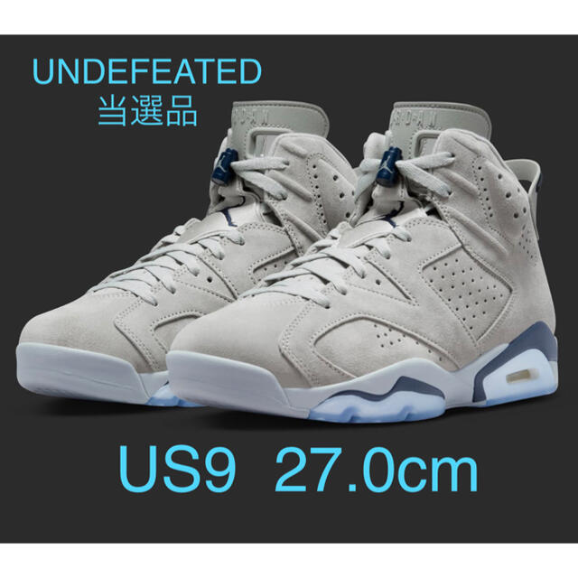 AIR JORDAN 6 RETRO Georgetown 27.0cmスニーカー