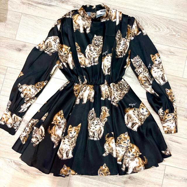 MSGM - MSGM 仔猫柄 フレアワンピースの通販 by アズキ's shop MSGM - MSGM 仔猫柄 フレアワンピースの通販 by アズキ's shop