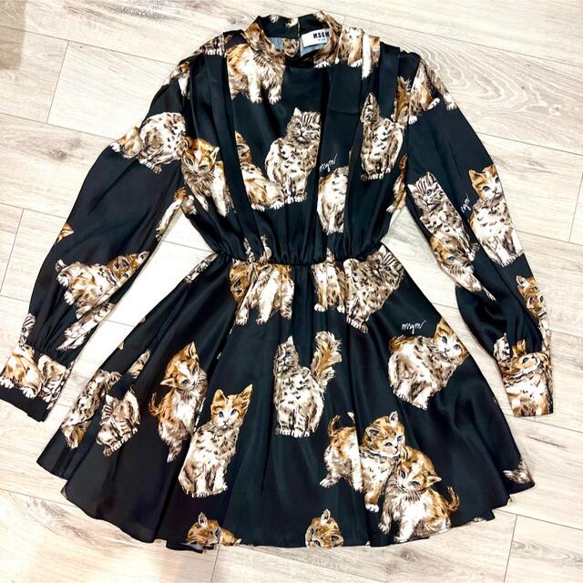 MSGM 仔猫柄　フレアワンピース