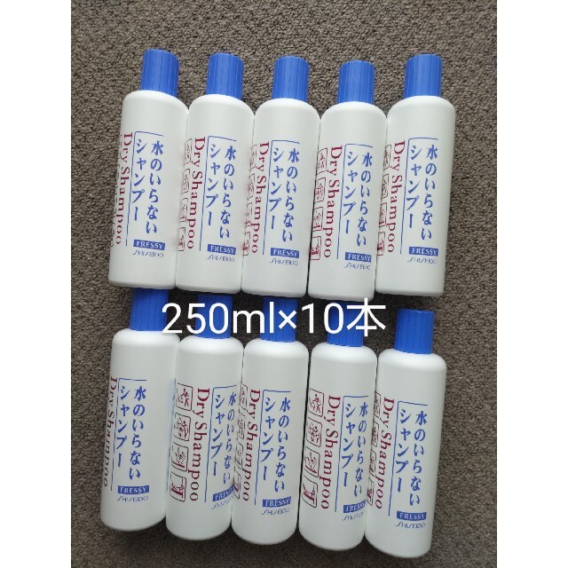 資生堂 250ml フルボトル10本