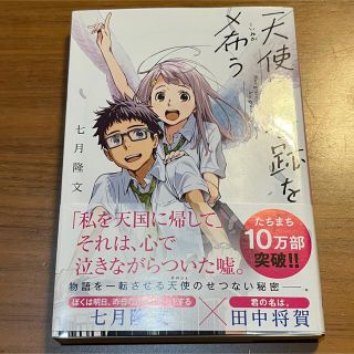 天使は奇跡を希う(文学/小説)