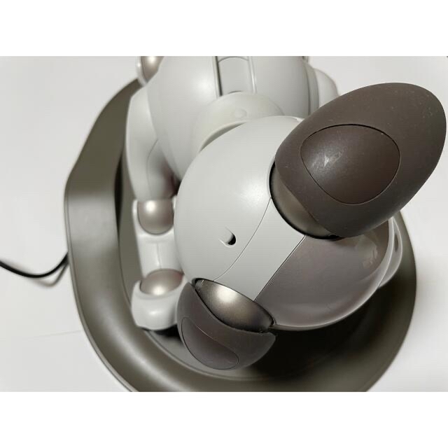 SONY(ソニー)のaibo ERS-1000  アイボ　おまけ付き エンタメ/ホビーのエンタメ その他(その他)の商品写真