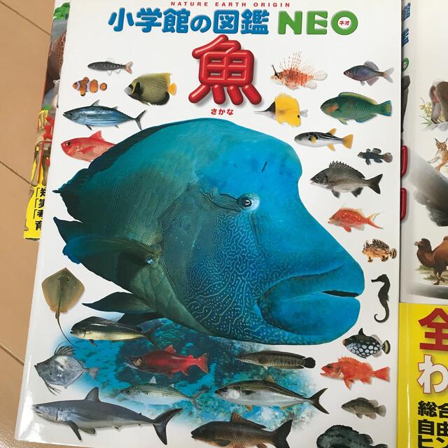 小学館(ショウガクカン)の小学館の図鑑　NEO 5冊セット　1万円相当　受験や夏休みの宿題に活躍です エンタメ/ホビーの本(絵本/児童書)の商品写真