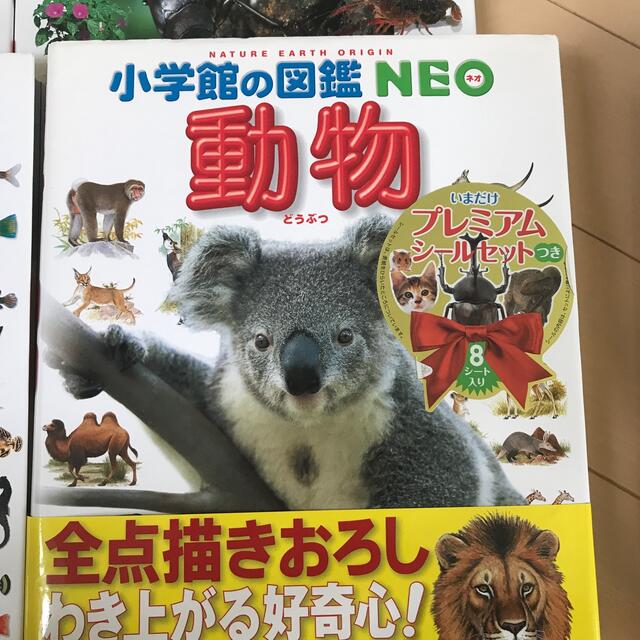 小学館(ショウガクカン)の小学館の図鑑　NEO 5冊セット　1万円相当　受験や夏休みの宿題に活躍です エンタメ/ホビーの本(絵本/児童書)の商品写真