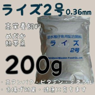 高栄養飼料 メダカ餌ライズ2号 200g アクアリウム　熱帯魚(アクアリウム)