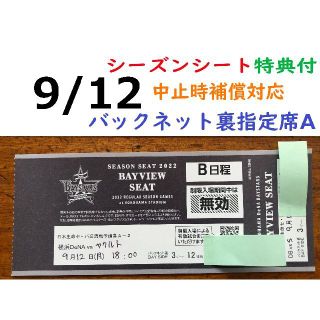 ヨコハマディーエヌエーベイスターズ(横浜DeNAベイスターズ)の【中止補償】9/10と9/12のベイスターズチケット 横浜スタジアムネット裏(野球)