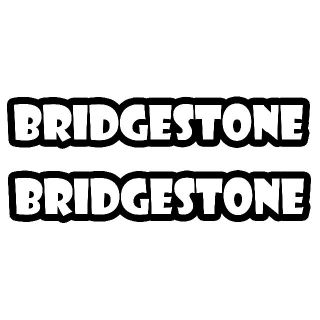 ＜01＞ カッティングシート　BRIDGESTONE　ブリジストン　２枚セット(タイヤ)