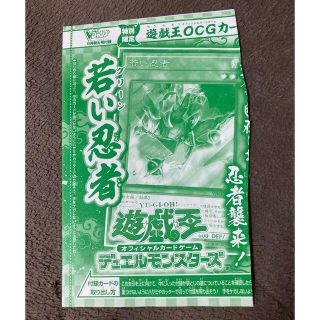 遊戯王カード　若い忍者　グリーン忍者(シングルカード)