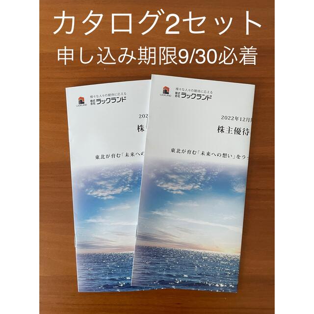 ラックランド　株主優待カタログ　4700円相当x2