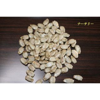 へび瓜　セイロン瓜の種　無農薬 2022.8月採種 15粒(野菜)