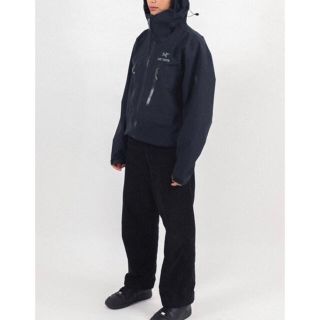 アークテリクス(ARC'TERYX)のARC'TERYX アルファ　LT ジャケット　サイズM 黒　GORE-TEX(マウンテンパーカー)