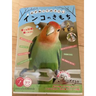 インコのきもち(住まい/暮らし/子育て)