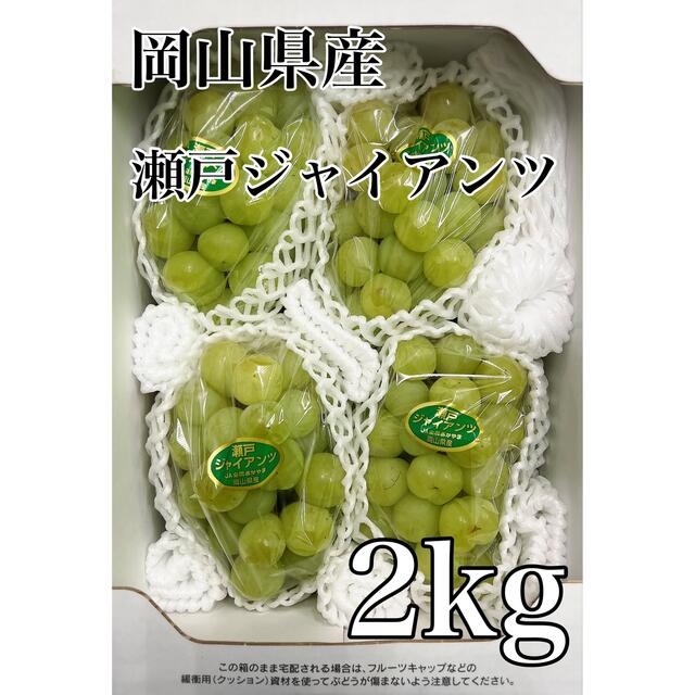 お得価格！！岡山県産【瀬戸ジャイアンツ】(桃太郎ぶどう)良品 4〜5房 2kg 食品/飲料/酒の食品(フルーツ)の商品写真