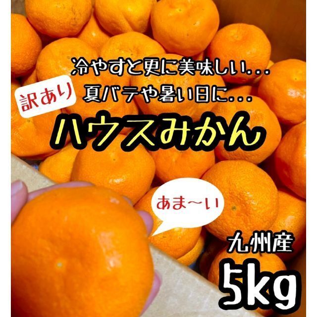 九州産◎訳あり ハウスみかん 5kg 食品/飲料/酒の食品(フルーツ)の商品写真