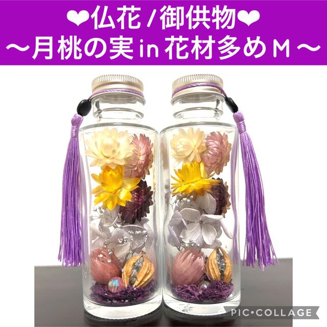 【仏花/御供物】〜月桃の実in花材たっぷり華やかハーバリウム〜2本セットM ハンドメイドのフラワー/ガーデン(プリザーブドフラワー)の商品写真