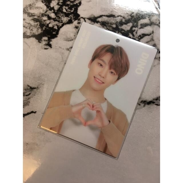 SEVENTEEN(セブンティーン)のseventeen HARU 2019 Japan tour 101 ディノ エンタメ/ホビーのタレントグッズ(アイドルグッズ)の商品写真