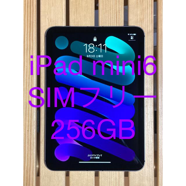 iPad mini 6 SIMフリー　cellular 256GB
