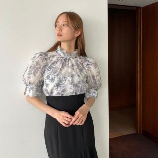 スナイデル(SNIDEL) シースルーブラウス シャツ/ブラウス(レディース ...