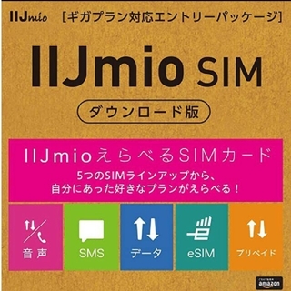ダウンロード版 初期費用3,300円が無料 IIJmio(その他)