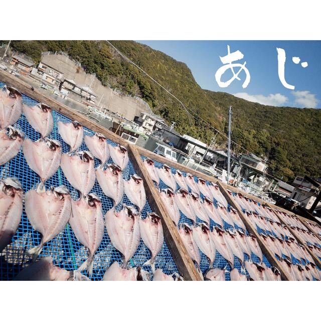 アジ開き　8枚☺︎ 食品/飲料/酒の食品(魚介)の商品写真