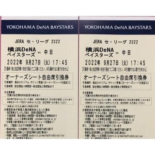 ヨコハマディーエヌエーベイスターズ(横浜DeNAベイスターズ)の横浜ベイスターズ　観戦ペアチケット(野球)