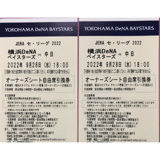 ヨコハマディーエヌエーベイスターズ(横浜DeNAベイスターズ)の横浜ベイスターズ　観戦ペアチケット(野球)