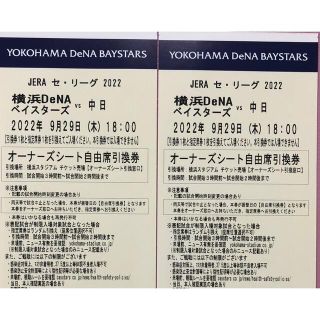 ヨコハマディーエヌエーベイスターズ(横浜DeNAベイスターズ)の横浜ベイスターズ　観戦ペアチケット(野球)