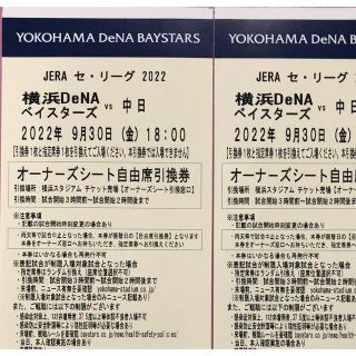 ヨコハマディーエヌエーベイスターズ(横浜DeNAベイスターズ)の横浜ベイスターズ　観戦ペアチケット(野球)