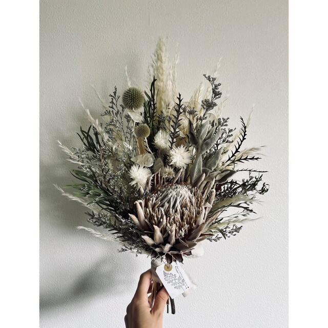 King Protea  White bouquet no.380