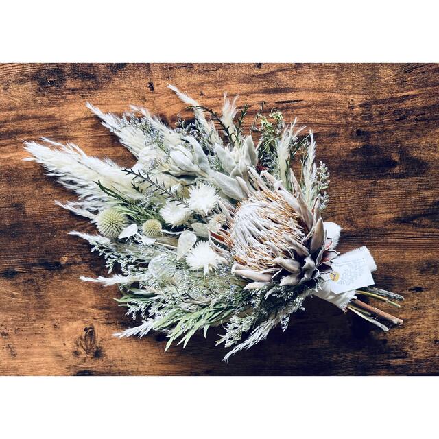 King Protea  White bouquet no.380