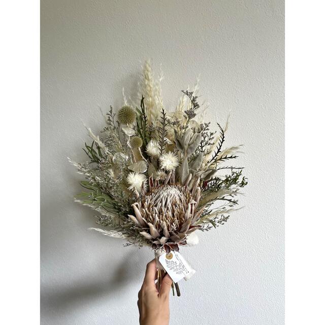 King Protea  White bouquet no.380