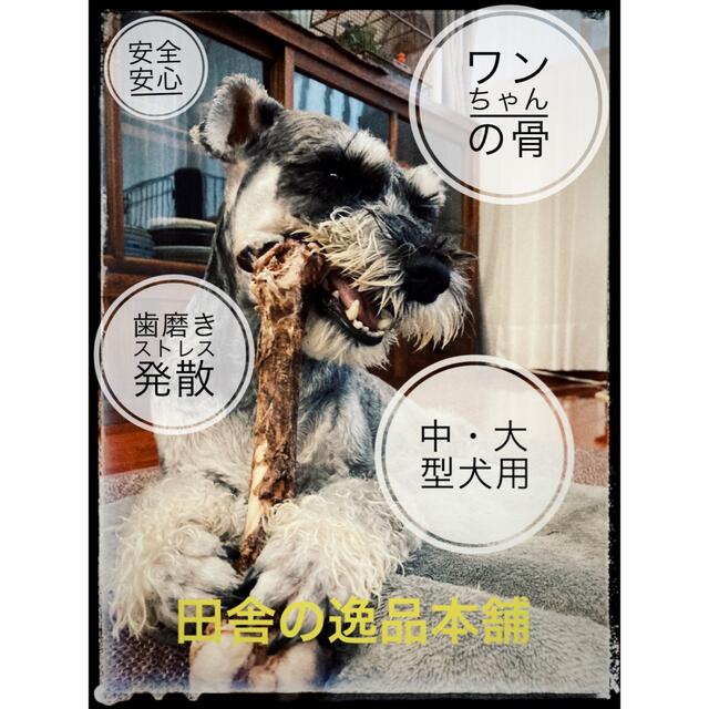 ★中型犬から大型犬用★鹿の骨・猪の骨詰め合わせ 4980円セット 800g以上 9