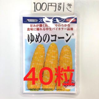 トウモロコシ スイートコーン　ゆめのコーンの種 40粒(野菜)