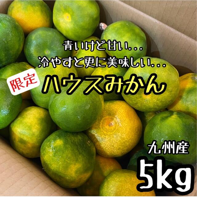 数量限定◎甘くて美味しい◎九州産 グリーンハウスみかん 5kg 送料無料 食品/飲料/酒の食品(フルーツ)の商品写真