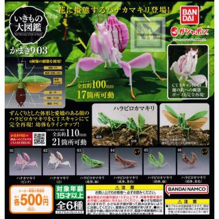 バンダイ(BANDAI)のいきもの大図鑑 かまきり03 ハナカマキリ(白)(その他)