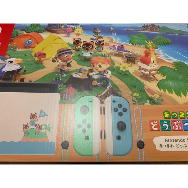Nintendo Switch あつまれ どうぶつの森 エディション-