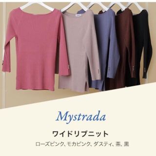 マイストラーダ(Mystrada)の【新品未使用】Mystradaノベルティ ワイドリブニット(ニット/セーター)